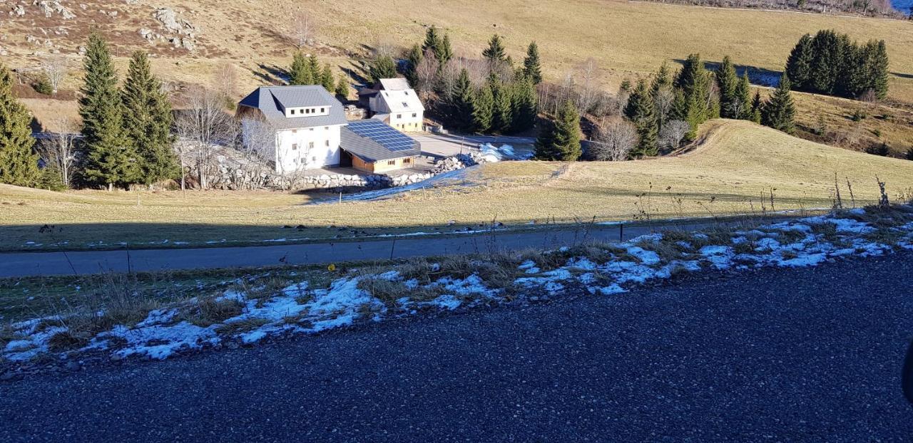 Ferienwohnung Natururlaub Muggenbrunn Тодтнау Екстериор снимка