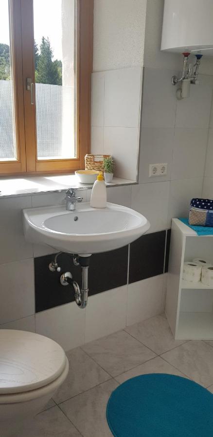 Ferienwohnung Natururlaub Muggenbrunn Тодтнау Екстериор снимка