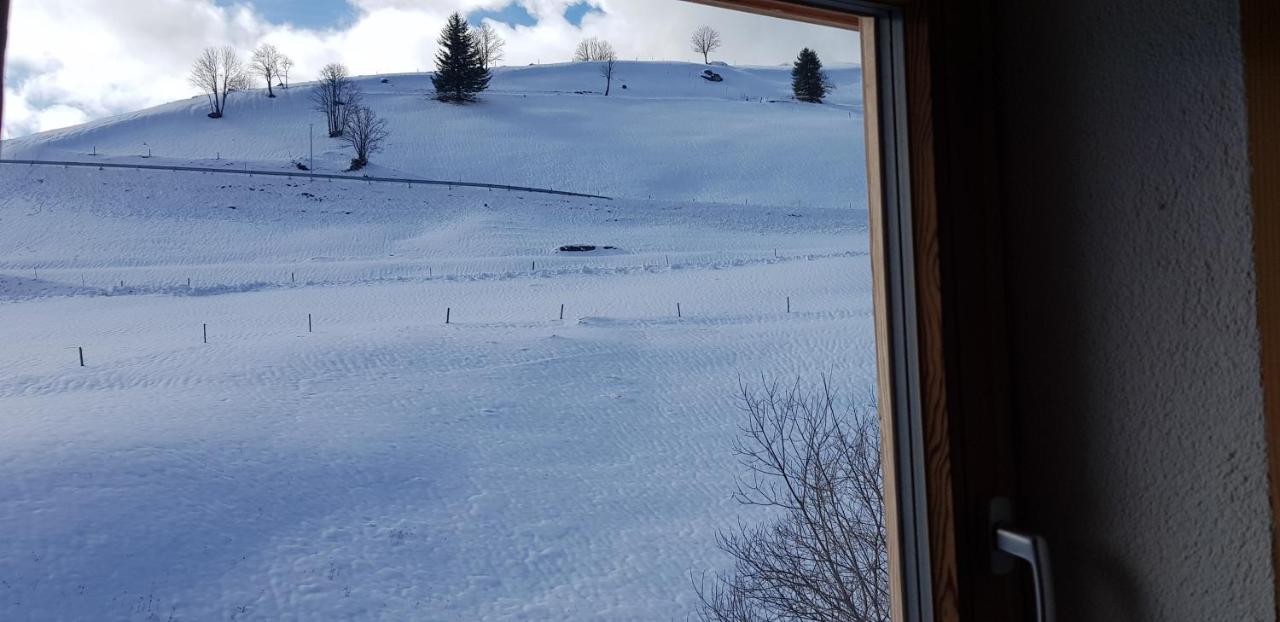 Ferienwohnung Natururlaub Muggenbrunn Тодтнау Екстериор снимка