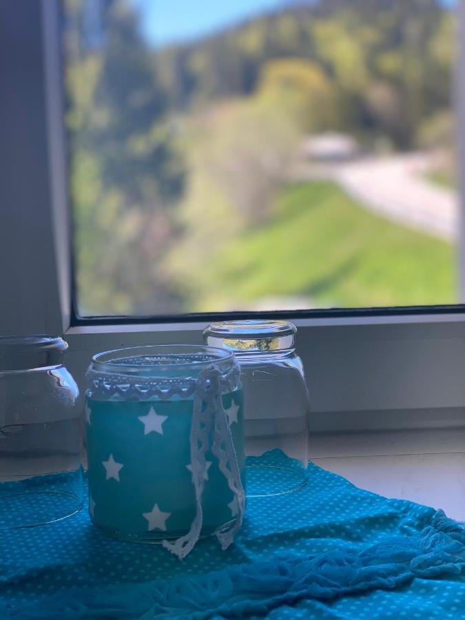Ferienwohnung Natururlaub Muggenbrunn Тодтнау Екстериор снимка